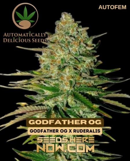 Automatically Delicious - Godfather Og {autofem}