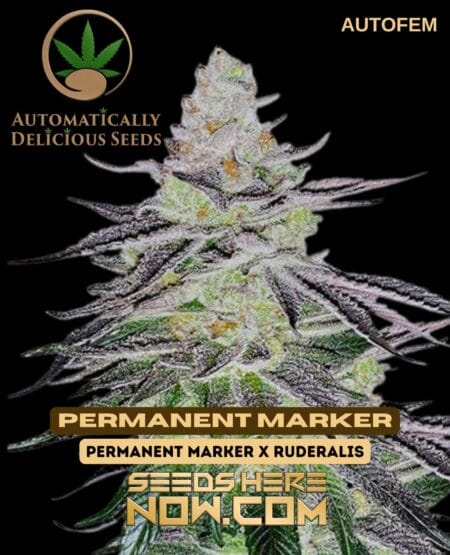 Permanent Marker (Autoflower) (space) Automatically Delicious