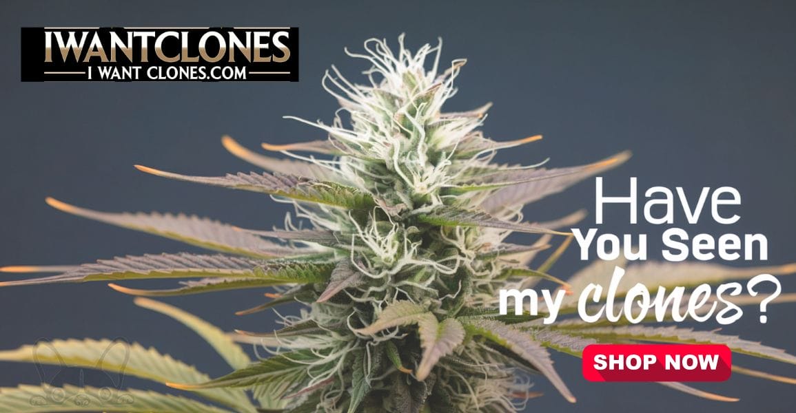 IWantClones.com