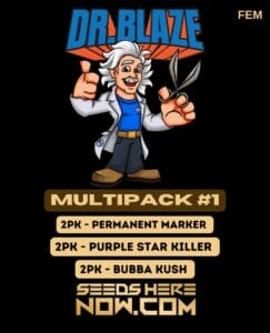 Multipack #1 (feminized) - Dr. Blaze