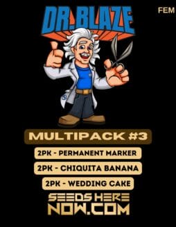 Dr. Blaze - Multipack #3 {FEM}Dr. Blaze - Multipack #3 {fem}