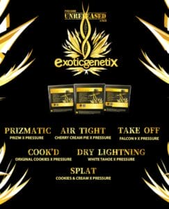 Pressure Unreleased Box Set (feminized) - Exotic Genetix
