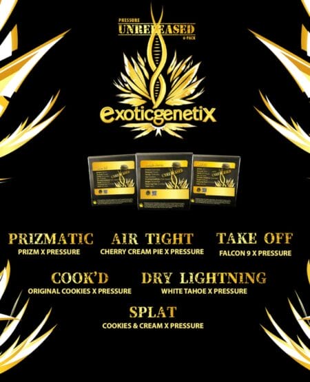 Exotic Genetix - Pressure Unreleased Box Set {fem} [6pk] * * Presale * *