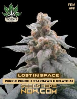 Flashback Seeds - Lost In Space {FEM} [6pk]Flashback Seeds - Lost In Space {FEM} [6pk] 1