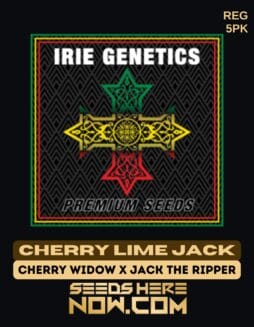 Cherry Lime Jack (Regular) - Irie GeneticsCherry Lime Jack (regular) - Irie Genetics