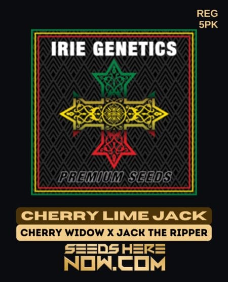 Irie Genetics - Cherry Lime Jack {reg} [5pk]