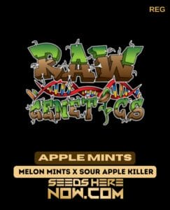 Apple Mints (Regular) - Raw Genetics