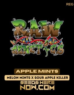 Raw Genetics - Apple Mints {REG}Raw Genetics - Apple Mints {REG}