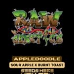 Appledoodle (Regular) - Raw Genetics