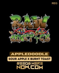 Appledoodle (Regular) - Raw Genetics