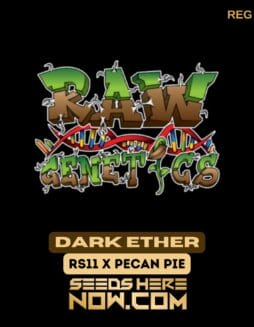 Dark Ether (Regular) - Raw GeneticsDark Ether (Regular) - Raw Genetics