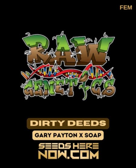 Dirty Deeds (Feminized) (space) Raw Genetics