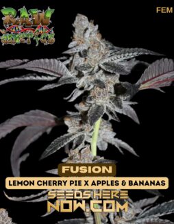 Raw Genetics - Fusion {FEM}Raw Genetics - Fusion {FEM}