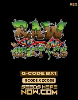 G-Code BX1 (Regular) - Raw GeneticsG-Code BX1 (Regular) - Raw Genetics