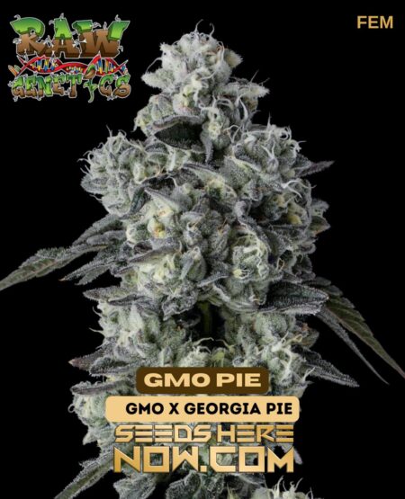 Raw Genetics - Gmo Pie {fem}