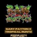 Gary Payton X Tropical Runtz (Regular) - Raw Genetics
