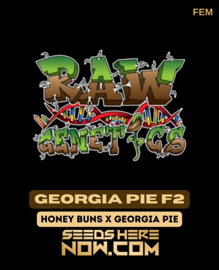 Georgia Pie F2 (Feminized) (space) Raw Genetics
