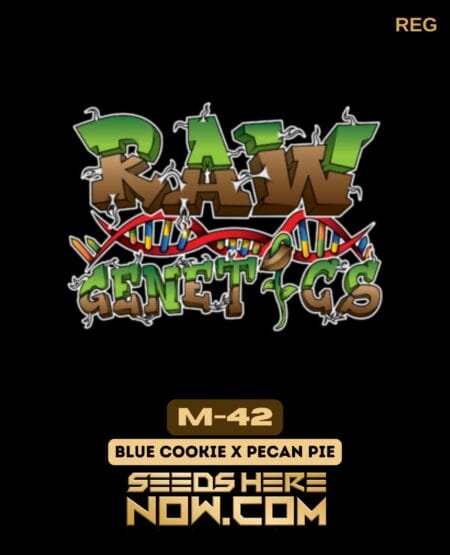 M-42 (regular) - Raw Genetics