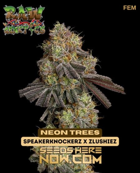 Neon Trees (feminized) - Raw Genetics