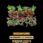 Ozukuri (Feminized) - Raw Genetics