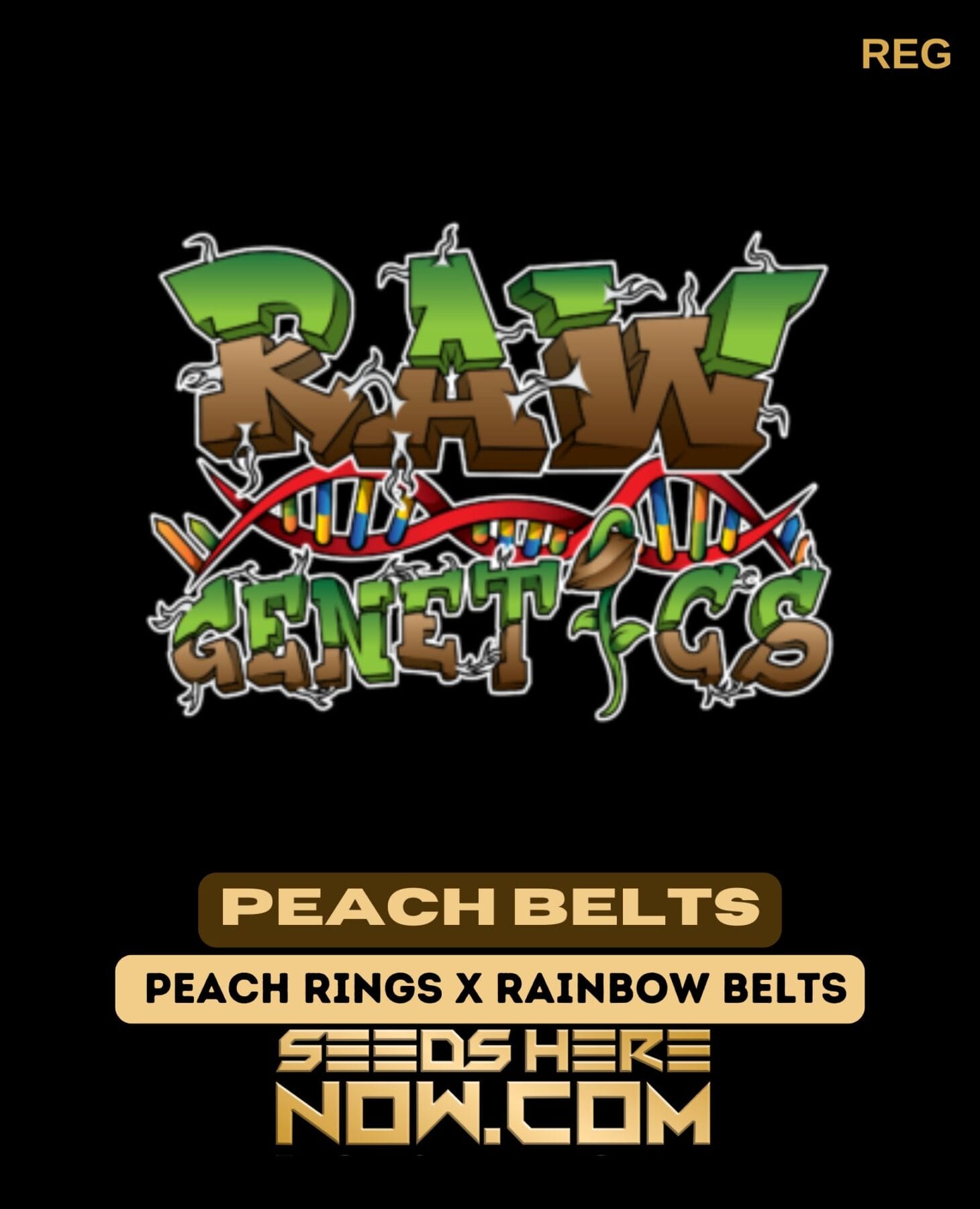 Peach Belts (Regular) - Raw Genetics