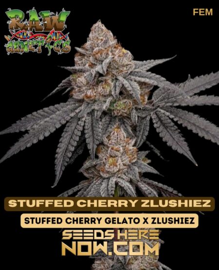 Raw Genetics - Stuffed Cherry Zlushiez {fem}