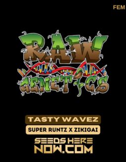 Raw Genetics - Tasty Wavez {FEM}Raw Genetics - Tasty Wavez {FEM}