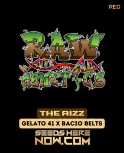the Rizz (regular) - Raw Genetics