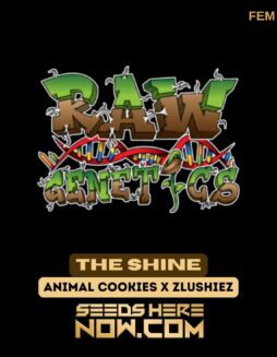 Raw Genetics - The Shine {FEM}Raw Genetics - The Shine {FEM}