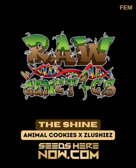 Raw Genetics - the Shine {fem}