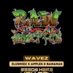 Wavez (Feminized) - Raw Genetics
