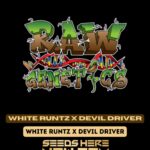 White Runtz X Devil Driver (Feminized) - Raw Genetics