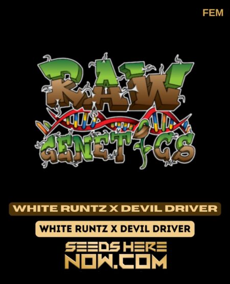 White Runtz X Devil Driver (Feminized) (space) Raw Genetics