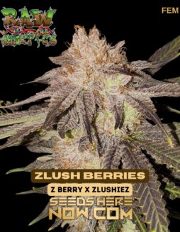 Raw Genetics - Zlush Berries {FEM}Raw Genetics - Zlush Berries {FEM}