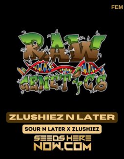 Raw Genetics - Zlushiez N Later {FEM}Raw Genetics - Zlushiez N Later {FEM}