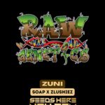 Zuni (Feminized) - Raw Genetics