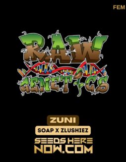 Raw Genetics - Zuni {FEM}Raw Genetics - Zuni {FEM}