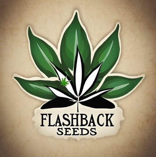 Flashback Seeds