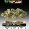9 lb hammer clones - acc