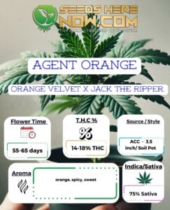 Agent Orange Clones - Acc