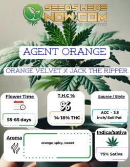 ACC - Agent Orange Clones