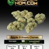 Apple Fritters Clones (space) ACC
