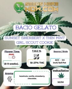 Bacio Gelato Clones - Acc