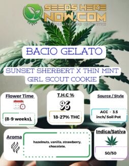 ACC - Bacio Gelato Clones