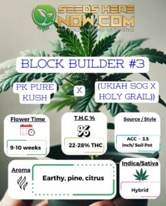 Block Builder #3 Clones - Acc