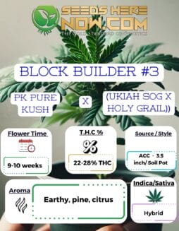 ACC - Block Builder #3