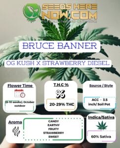 Bruce Banner Clones - Acc