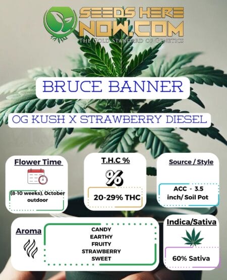 Acc - Bruce Banner Clones