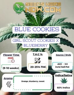 ACC - Blue Cookies Clones