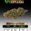 Blood Orange Tangie Clones - Acc